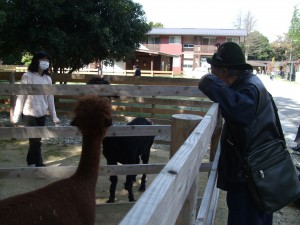 s_DSCF0296